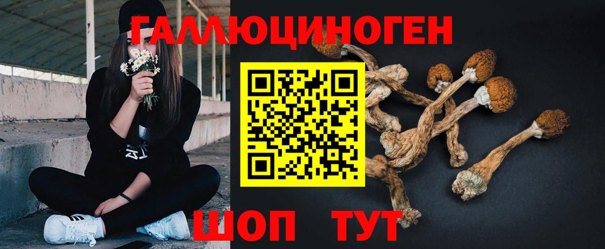 Псилоцибиновые грибы MAGIC MUSHROOMS  Вход с VPN  Оренбург 